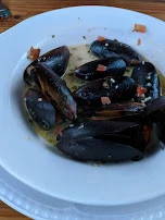 Steamed Mussels